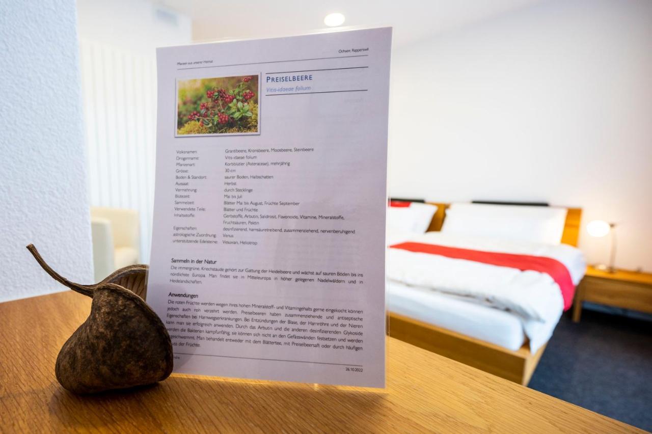 Hotel Ochsen Rapperswil/Be Rapperswil  Екстериор снимка